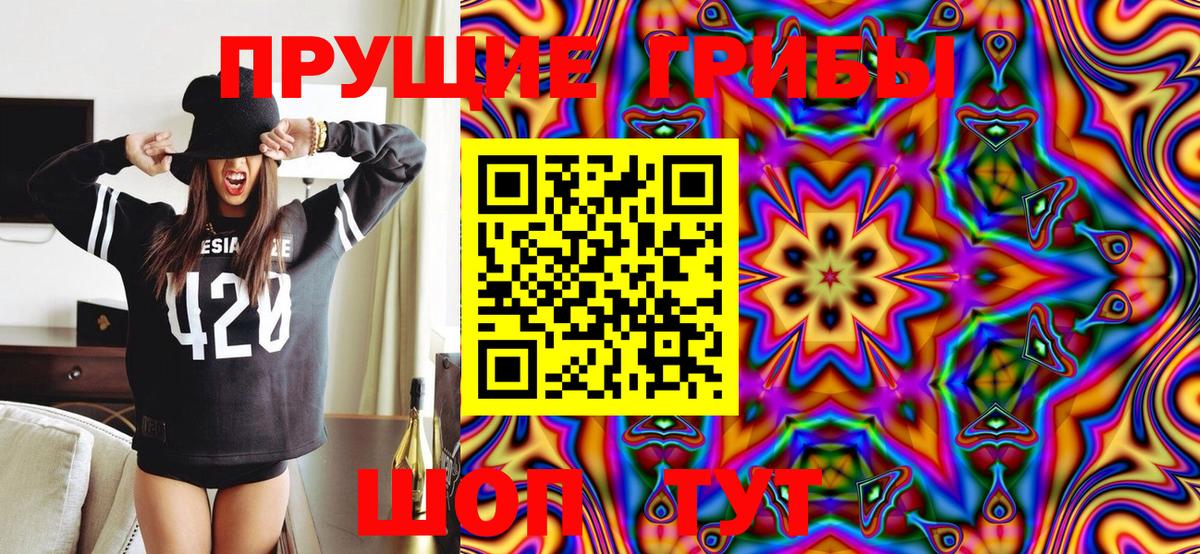 Галлюциногенные грибы MAGIC MUSHROOMS Кизляр