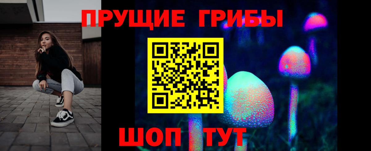 Кизляр  Галлюциногенные грибы мицелий  Вход с VPN  Галлюциногенные грибы ЛСД 